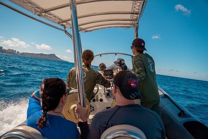 Whale Watching Tour in Waikiki Intimate Adventure on Oahu - Introduction: What Is This Tour Really About?