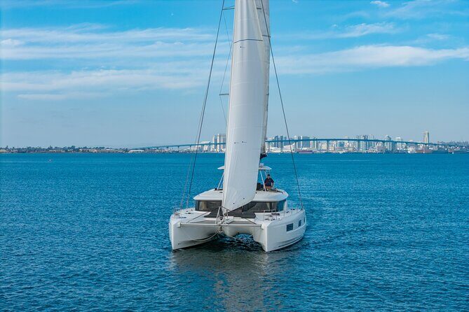 Whale Watching Tour on a Catamaran in San Diego - An In-Depth Look at the Experience