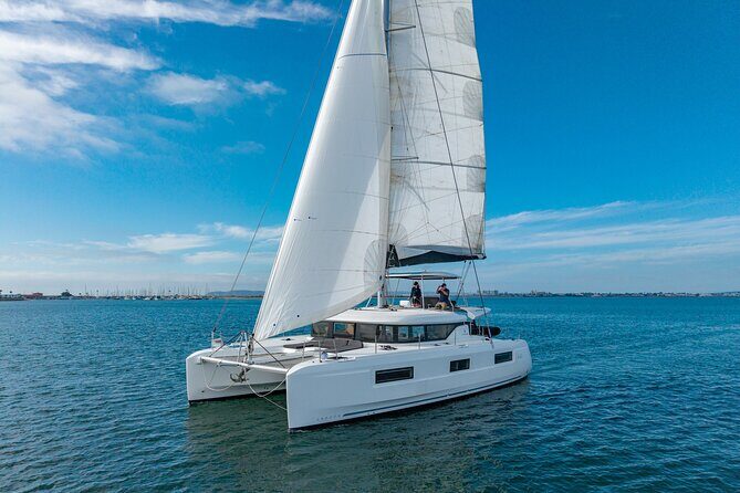 Whale Watching Tour on a Catamaran in San Diego - Final Thoughts