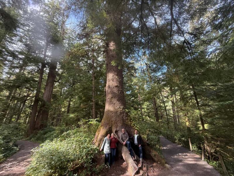 Whale Watching Tour to Depoe Bay, Cannon Beach & Tillamook - Final Thoughts: Is This Tour Right for You?