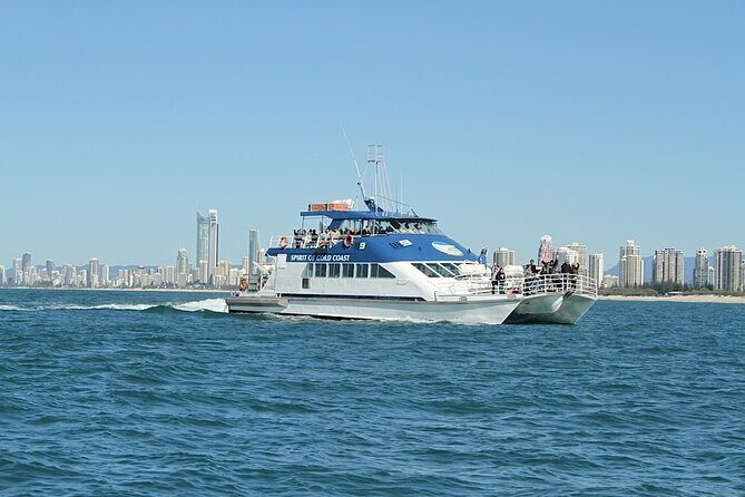 Whale Watching Tour with Spirit of Gold Coast - FAQ