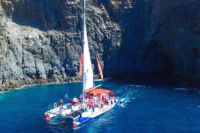 Whales Listening Eco-Catamaran Tour With Food Tasting - Inclusions and Amenities
