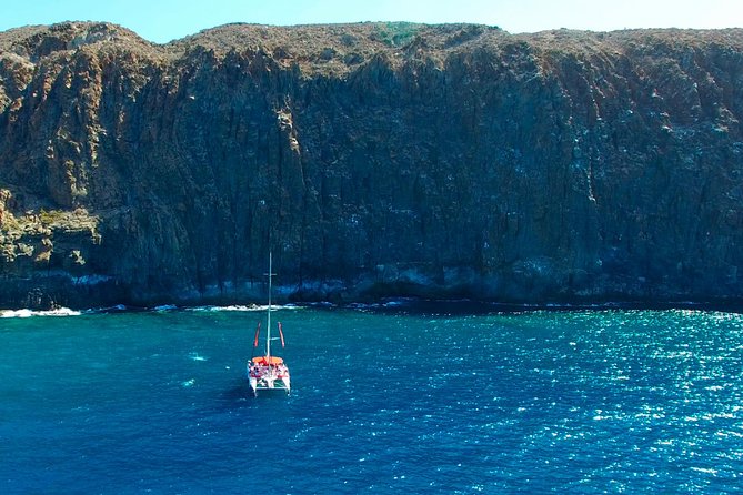 Whales Listening Eco-Catamaran Tour With Food Tasting - Customer Reviews and Ratings