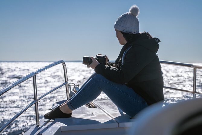 Whales of Sydney Sea Safari - Who Should Consider This Tour?
