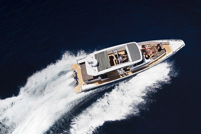 Whales of Sydney Sea Safari - Final Thoughts: Is It Worth It?