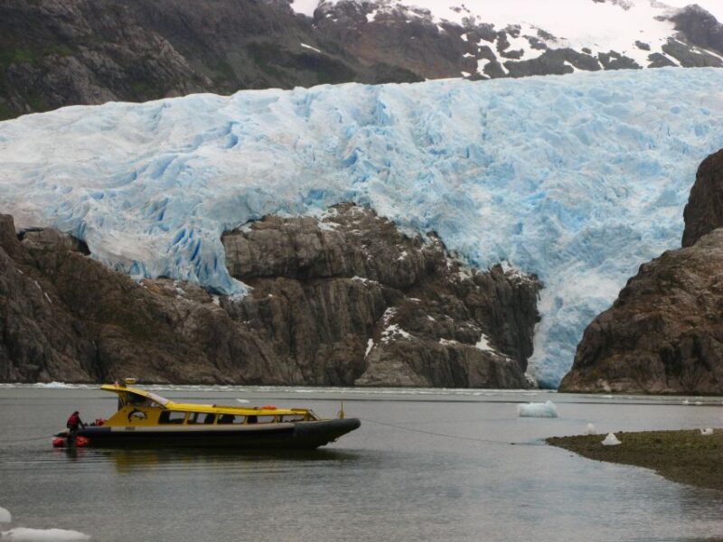 Whales, Penguins & Glaciers Navigation From Punta Arenas - Key Points