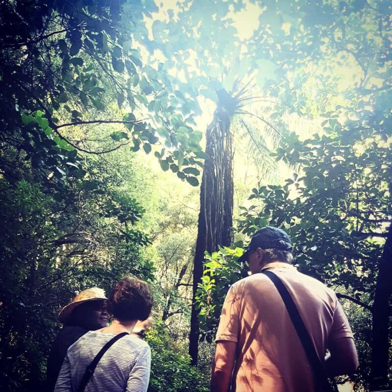 Whangrei: Private Mori Cultural Experience with Lunch - Who Would Love This Tour?