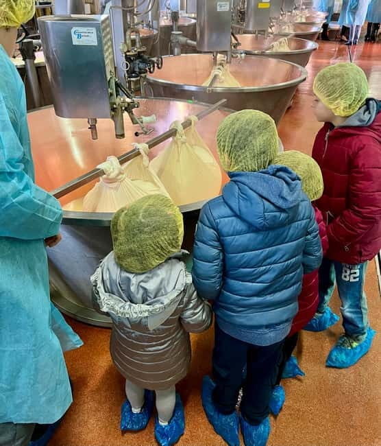 What a day: Parmesan, Balsamico , Lambrusco Taste&Tour+Lunch - A Deep Dive into the Flavors of Emilia-Romagna