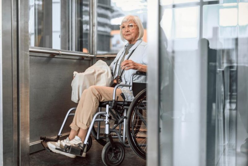 Wheelchair-Frendly Private Louvre Tour – Stress-Free & Easy - Wheelchair-Friendly Experience