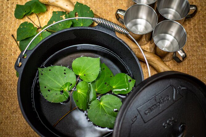 Whirinaki Forest Footsteps: Mori Guided Tour, Picnic & Transfer - A Full Look at the Whirinaki Forest Footsteps Tour