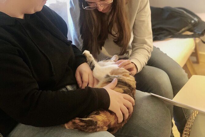 Whiskers & Coffee: Relax and Play with Adorable Cats - Exploring Whiskers & Coffee: An In-Depth Review