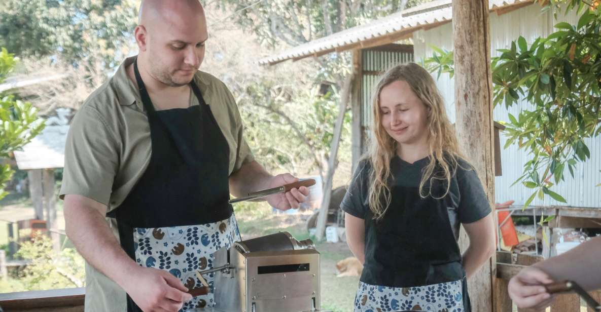 Whispers of the Upstream Coffee Forest: Roast & Brew Trek - Key Points