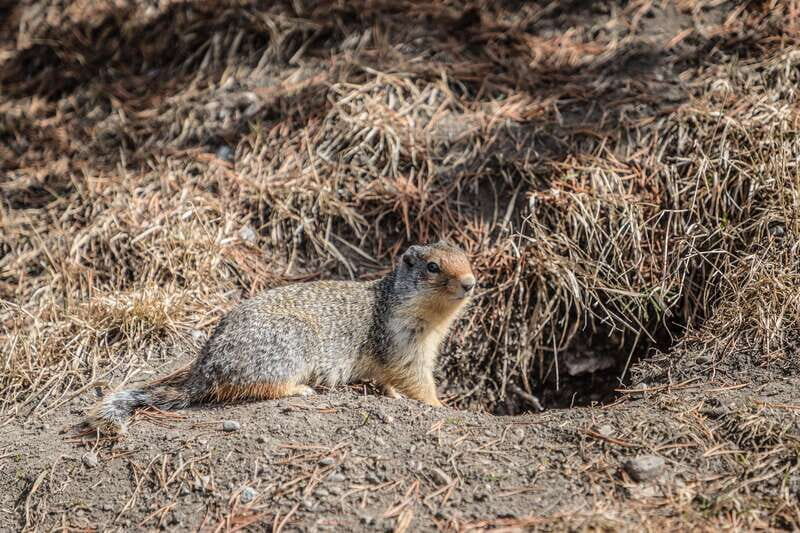 Whistler: Adventure to Vancouver (3-Days) - Who Is This Tour Best For?