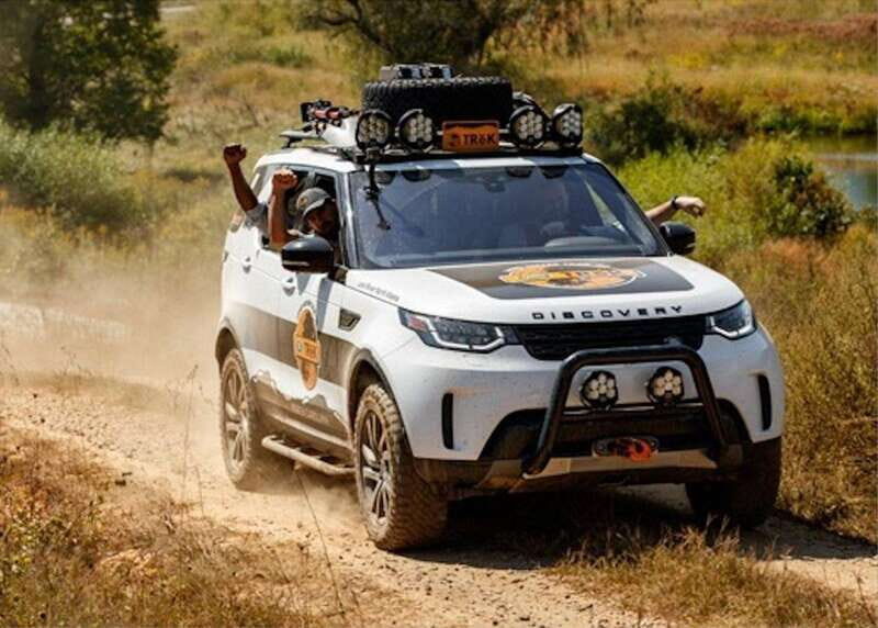 Whistler: Afternoon Bears Spotting Tour in Land Rover - A Detailed Look at the Whistler Black Bear Viewing Tour