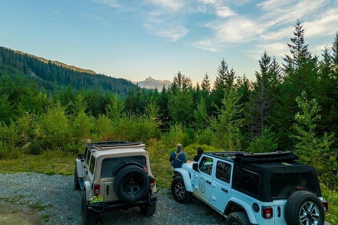 Whistler Bear Tour - An In-Depth Look at the Whistler Bear Tour