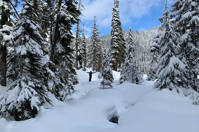 Whistler Lost Lake Snowshoeing and Village Tour - Meeting and Pickup
