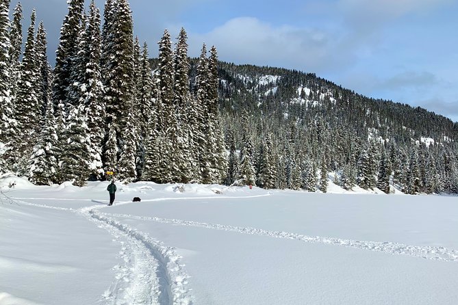 Whistler Lost Lake Snowshoeing and Village Tour - Accessibility and Participation