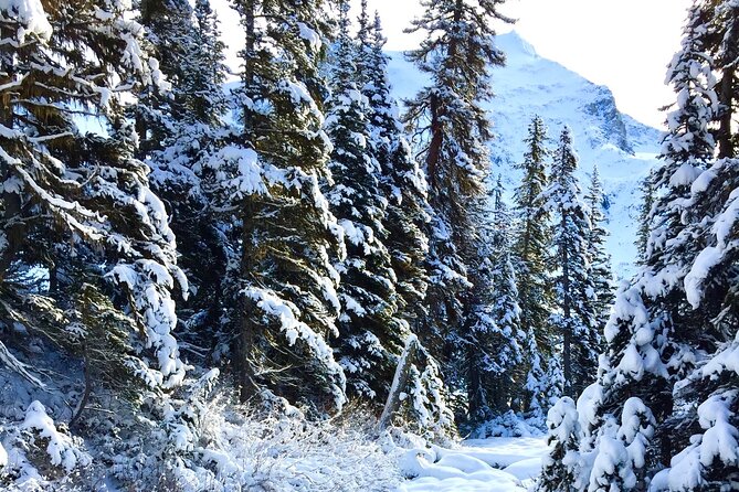 Whistler Lost Lake Snowshoeing and Village Tour - Experience the Whistler Village