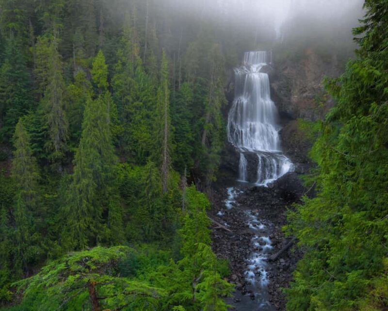 Whistler: Morning with the Bears Land Rover Scenic Excursion - An In-Depth Look at the Experience