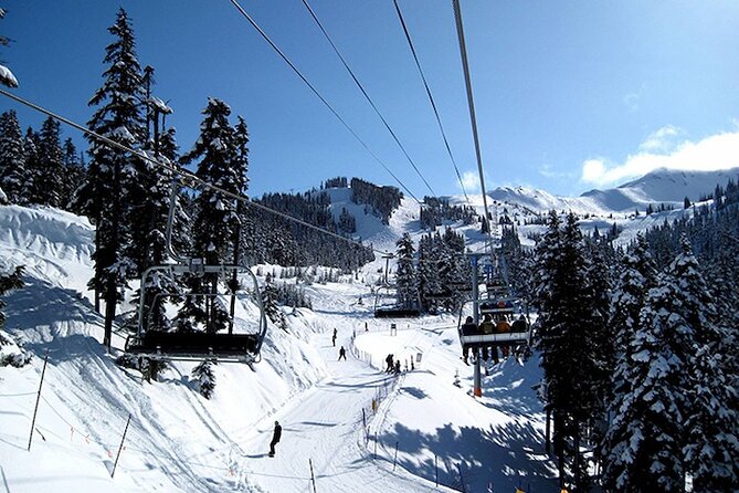 Whistler Sea to Sky Day Tour - Optional Activities