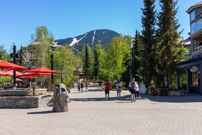 Whistler Sightseeing and Sea to Sky Gondola Tour From Vancouver - Customer Experiences and Feedback