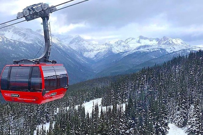Whistler Sightseeing Tour From Vancouver: See Horseshoe Bay and Shannon Falls - Scenic Stops Along the Route