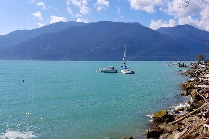 Whistler Sightseeing Tour From Vancouver: See Horseshoe Bay and Shannon Falls - Traveler Experiences and Feedback