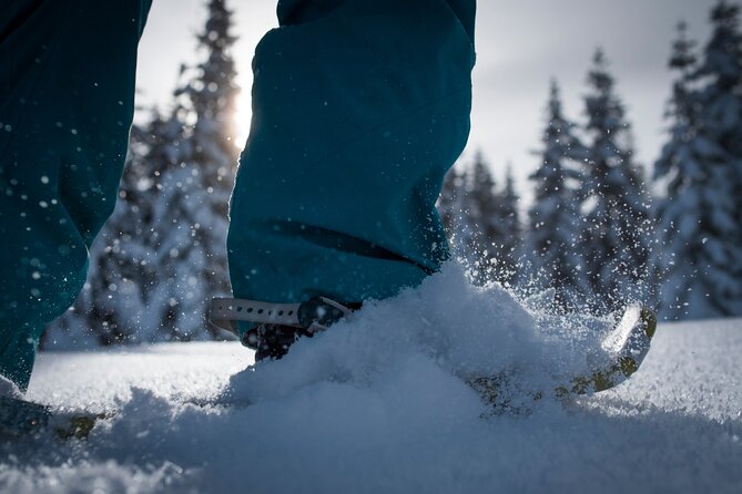 Whistler Snowshoeing Adventure - Tips for a Great Adventure