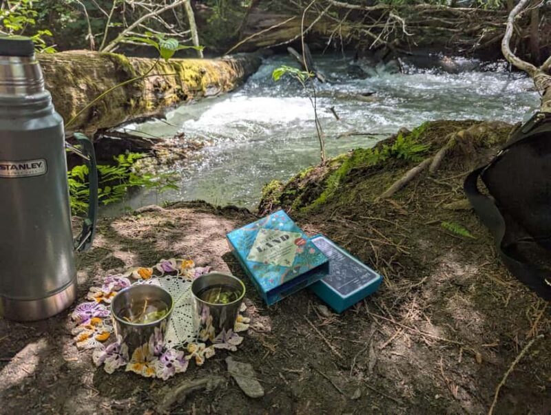 Whistler: Tour, Immersive Nature Experience - Key Points