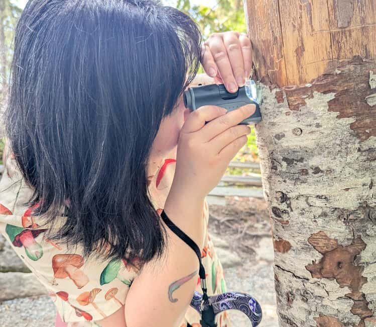 Whistler: Tour, Immersive Nature Experience - An Introduction to the Whistler Immersive Nature Tour