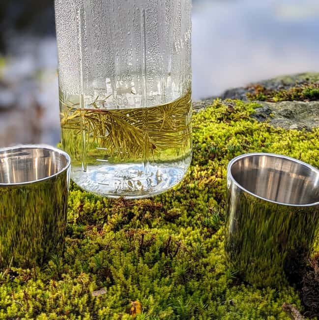 Whistler: Tour, Sensory Nature Experience for Families - Is This Tour Right for You?