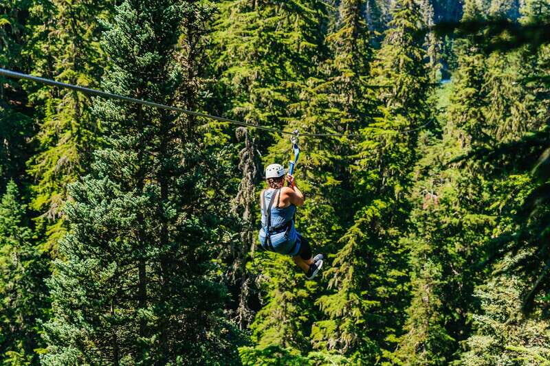 Whistler: Ziplining Experience - Key Points