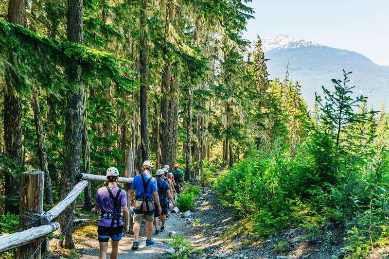 Whistler: Ziplining Experience - The Itinerary: From Village to Treetops