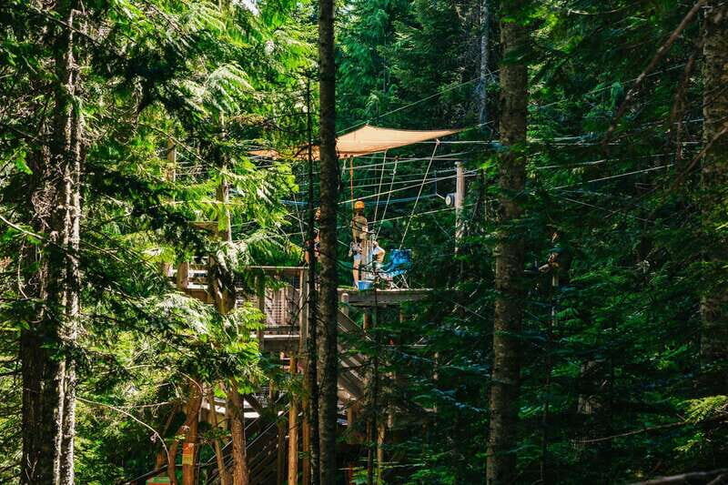 Whistler: Ziplining Experience - The Review in Action: What Travelers Say