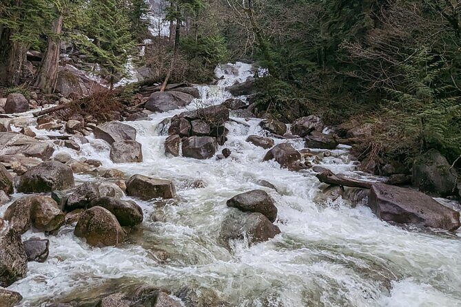 Whistler+Sea 2 Sky Gondola+Shanon Fall+GreenLake+Porteau CoveTour - The Sum Up