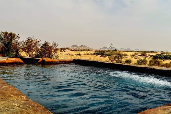 White Desert Camping and Baharya Oasis Overnight From Cairo - Booking and Logistics