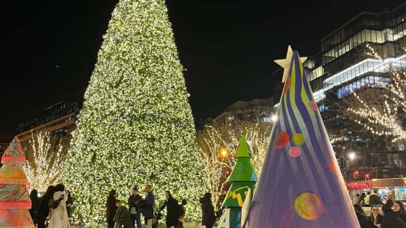 White House National Christmas Tree & Holiday Light Bus Tour - Key Points