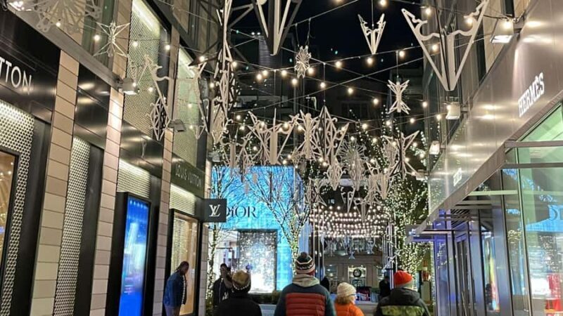 White House National Christmas Tree & Holiday Light Bus Tour - Who Should Consider This Tour?