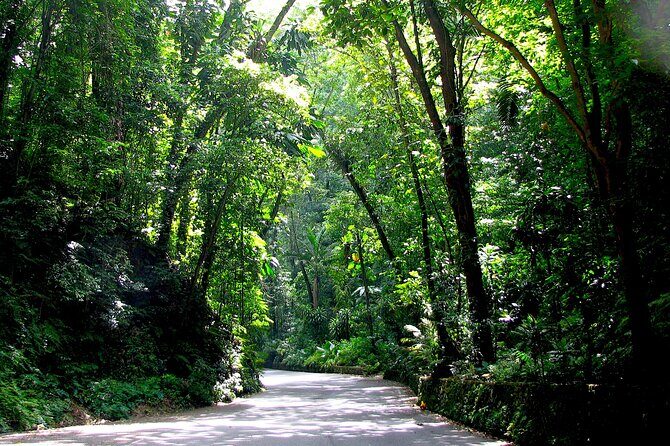 White River Tubing and OchoRios Highlight View Scenic Fern Gully - The Sum Up