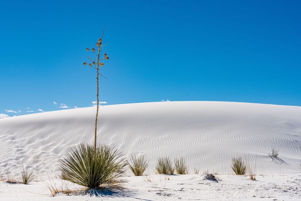 White Sands National Park: Audio Tour Guide - Frequently Asked Questions
