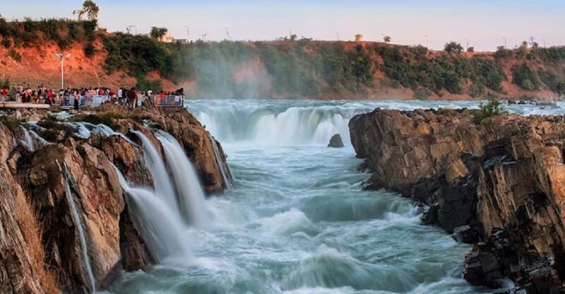White Tiger National Park Tour in Madhya Pradesh - Accommodation and Meals