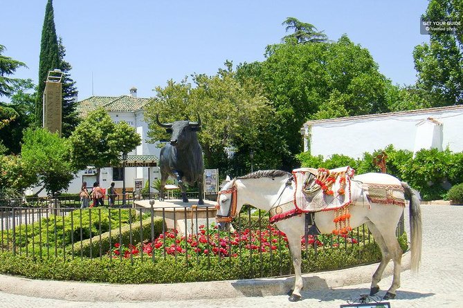 White Villages and Ronda Day Trip From Seville - Included Services