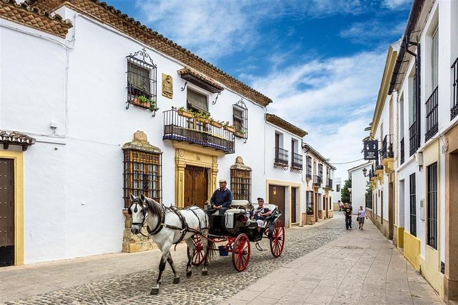 White Villages and Ronda Day Trip From Seville - Traveler Experience