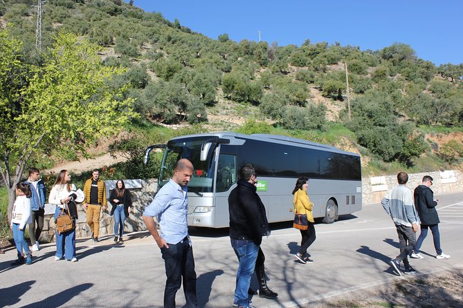 White Villages and Ronda Day Trip From Seville - Dining Options