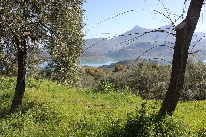 White Villages and Ronda Day Trip From Seville - Tips for a Great Trip