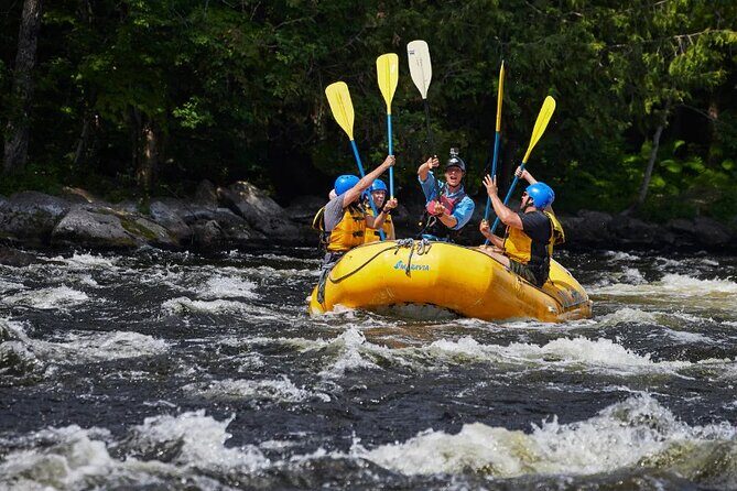 White Water Rafting Adventure on the Madawaska River - Key Points