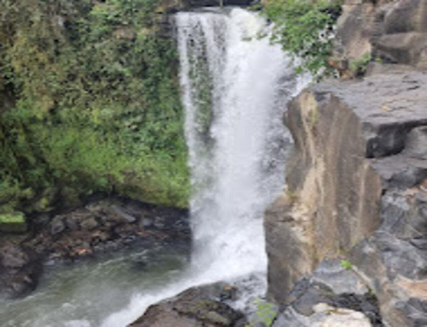White Water Rafting Ayung and Waterfall - Pricing and Booking