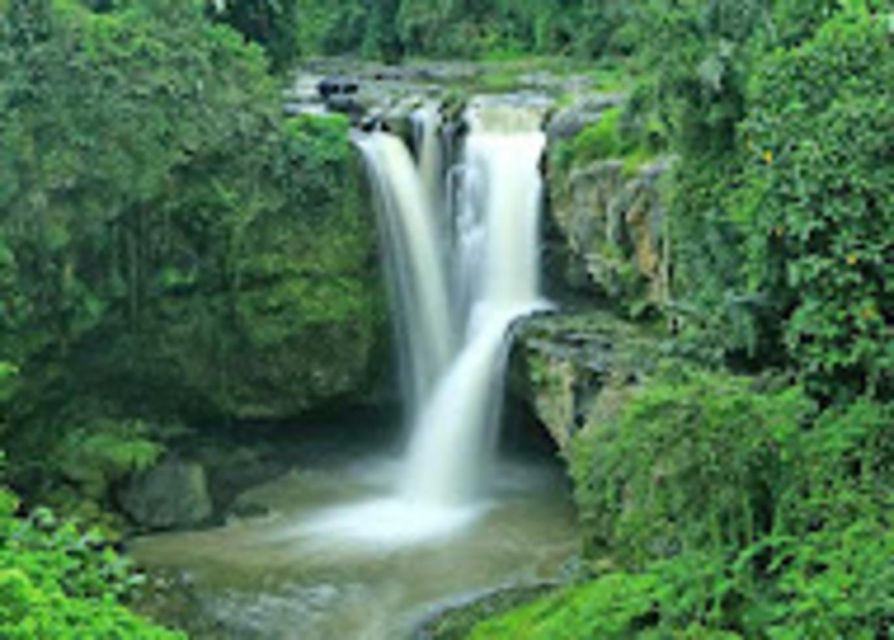 White Water Rafting Ayung and Waterfall - Itinerary Details