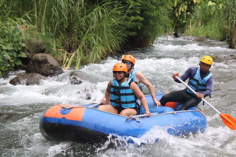white water rafting telaga waja best of bali (no stairs) - Who Is This Tour Best For?