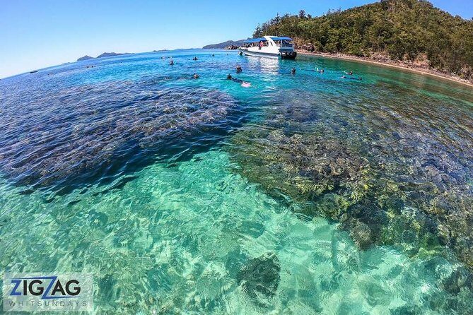 Whitehaven Beach Tour: 2 Options - All Day Beach Or Snorkel - Pricing, Group Size, and Overall Value
